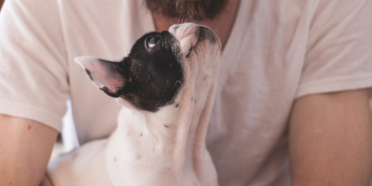 Why Do I Like The Way My Dog Smells?