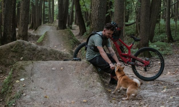 Best Dog Breed Recommendations for Biking